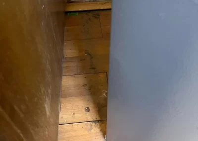 Home Cleaning Services (10)