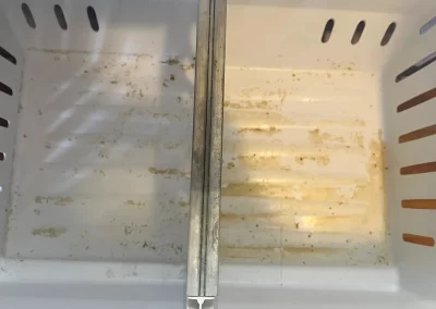 Home Cleaning Services (5)