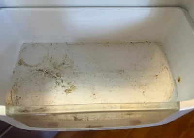 Professional Cleaning Service