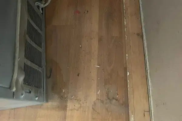 Move Out Cleaning in Spokane Valley WA 99217